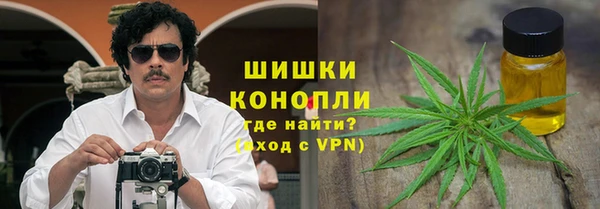 твердый Богданович