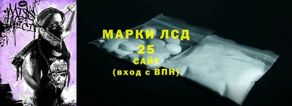 твердый Богданович