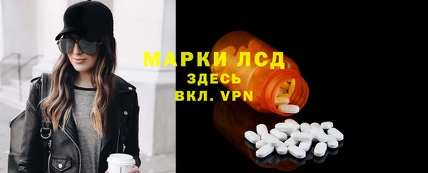 твердый Богданович