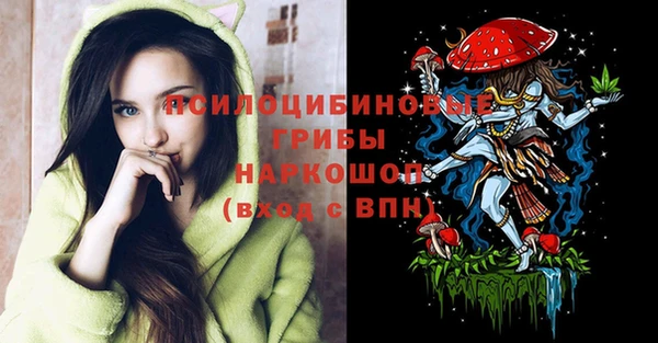 ALPHA PVP Богородицк