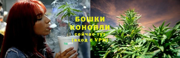 ALPHA PVP Богородицк